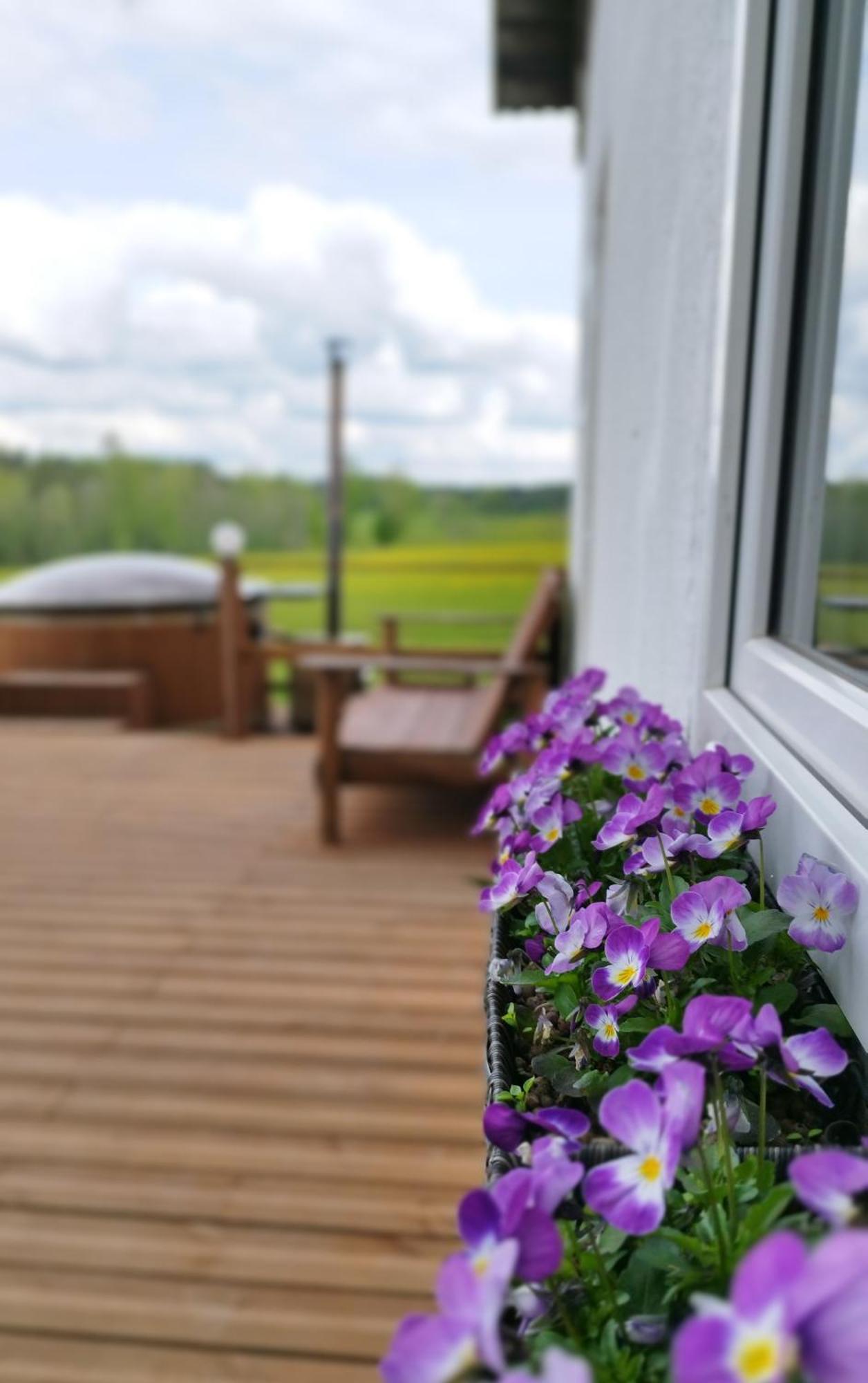 Guesthouse, Sauna & Jacuzzi In Gauja Valley - Kakukalns Straupe Kültér fotó