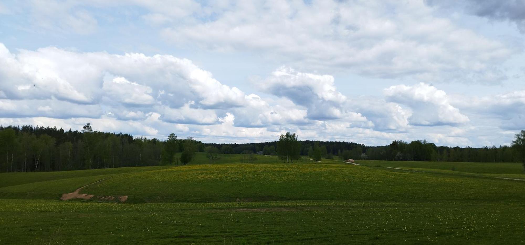 Guesthouse, Sauna & Jacuzzi In Gauja Valley - Kakukalns Straupe Kültér fotó