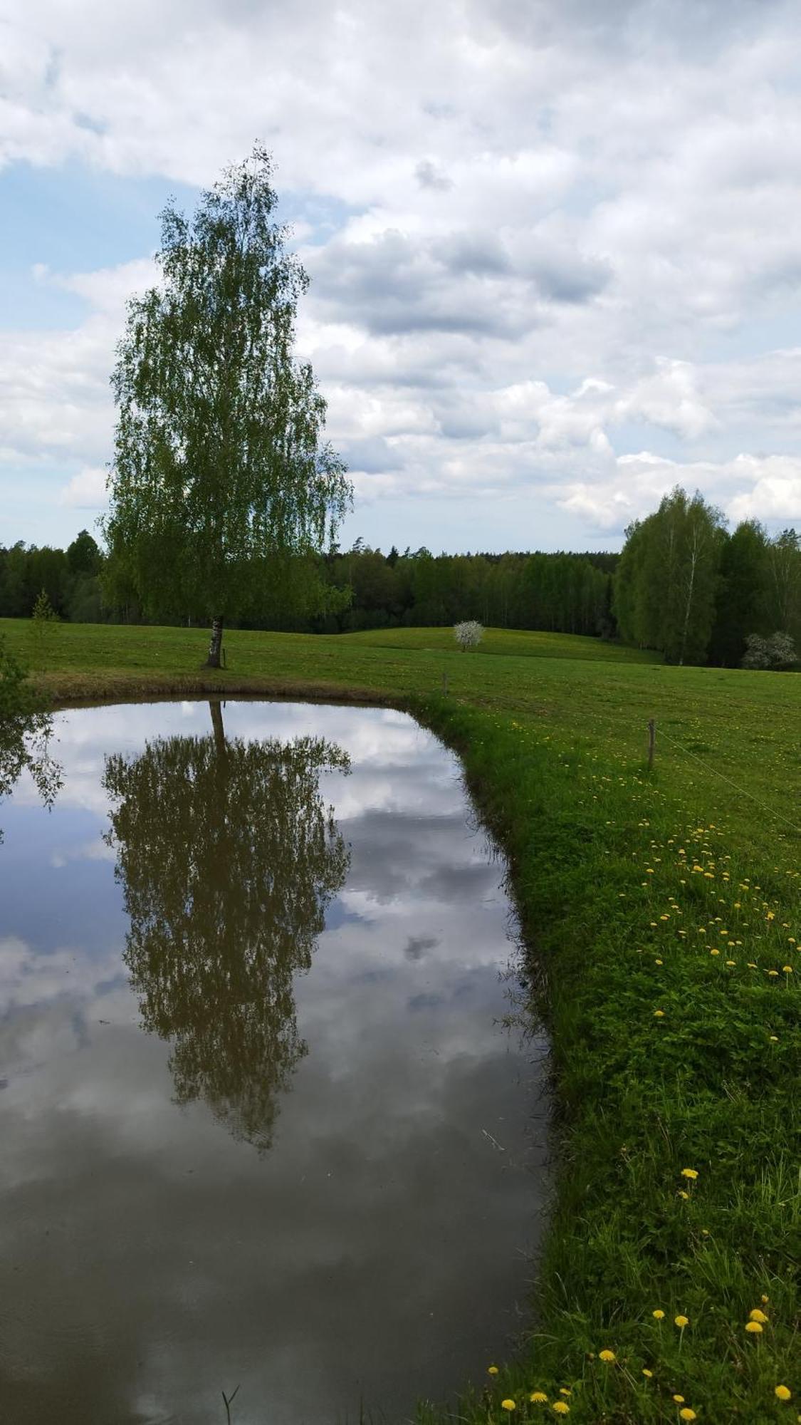 Guesthouse, Sauna & Jacuzzi In Gauja Valley - Kakukalns Straupe Kültér fotó