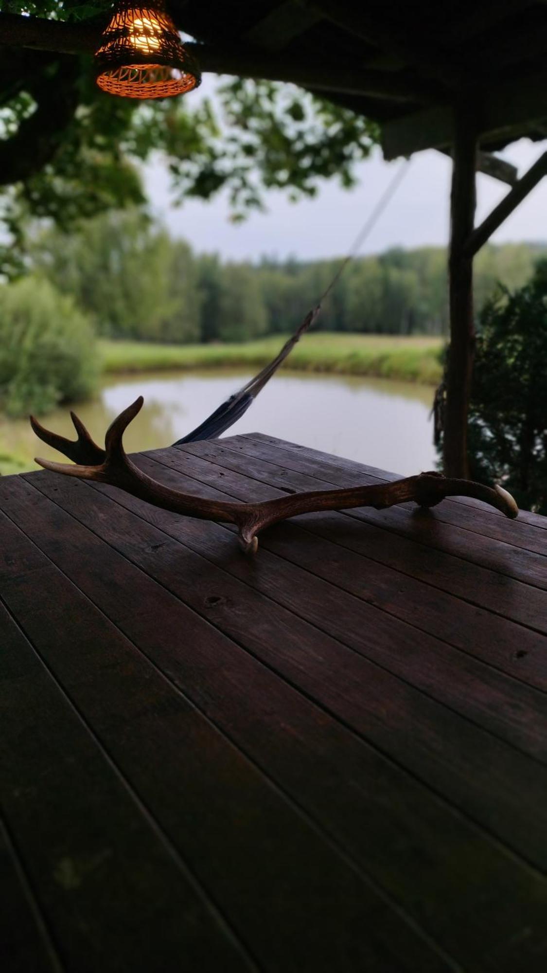Guesthouse, Sauna & Jacuzzi In Gauja Valley - Kakukalns Straupe Kültér fotó