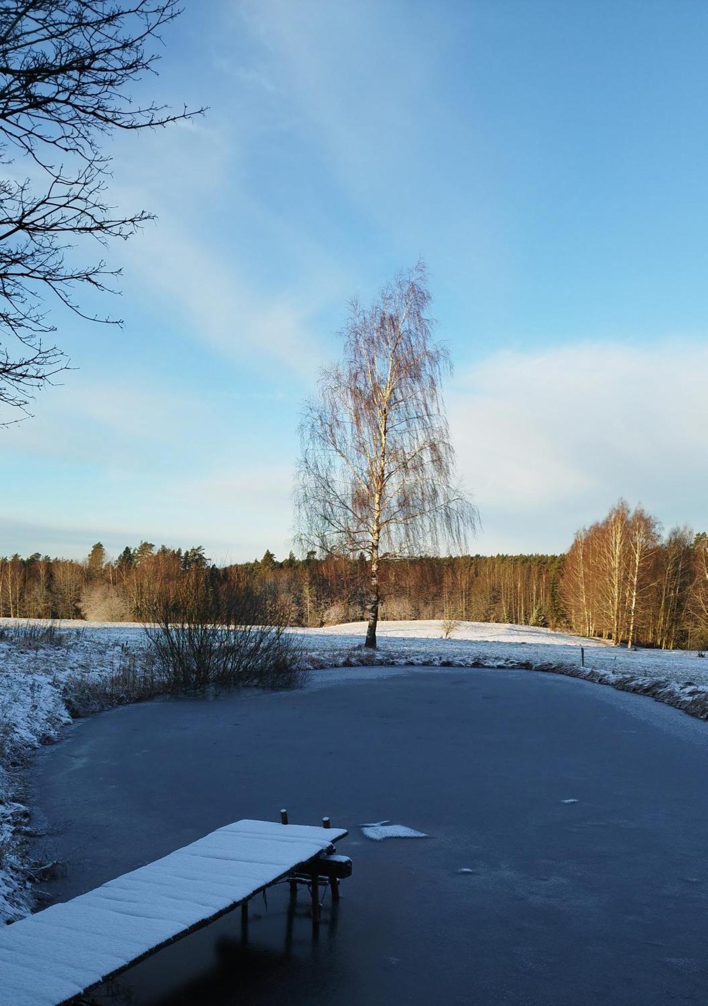 Guesthouse, Sauna & Jacuzzi In Gauja Valley - Kakukalns Straupe Kültér fotó